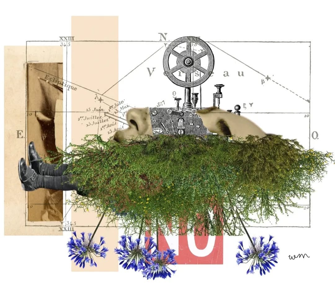 Il logo del sito dell'artista Wild_matafalua